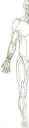 Teaser 1